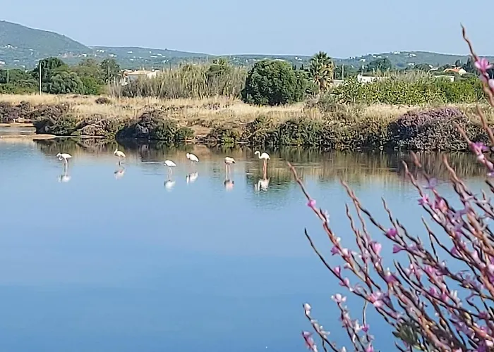 Apartament Casa Frajo *