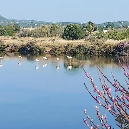 Apartment Casa Frajo *
